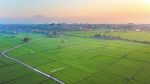 jogging track di bali