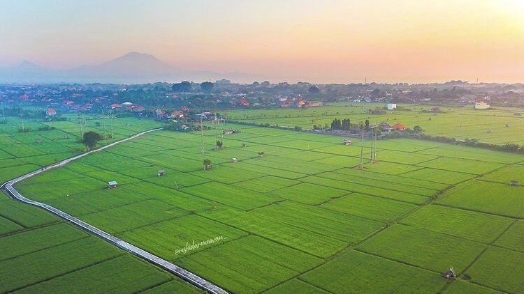 Jogging track di bali
