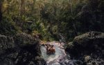 gembleng waterfall
