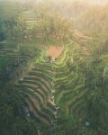 spot foto paling instagrammable di bali