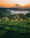 liburan di bali