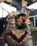 barong bangkung