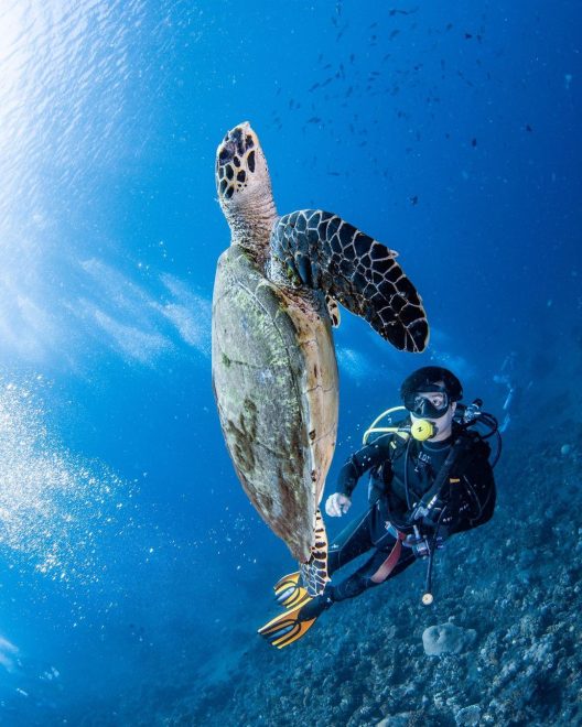 snorkeling di bali