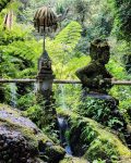 desa taro ubud gianyar