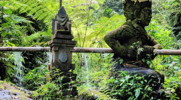 desa taro ubud gianyar