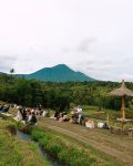 nyarik kopi