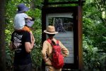 monkey forest ubud sanctuary