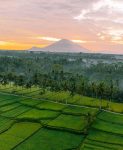 subak bali