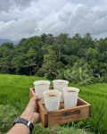 nyeduh kopi