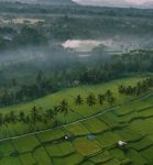 banjar mancingan