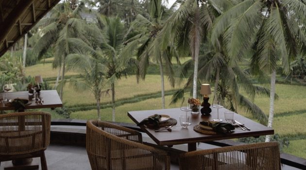 terra verte Ubud
