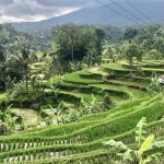 wisata bali selain pantai