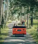 ubud vw tour